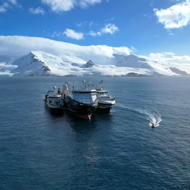 The Antarctic krill fishery closes for 2026, as precautionary management measures take effect