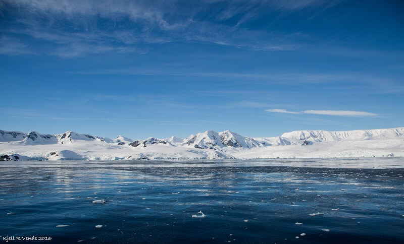 CCAMLR 2025: A foundation built for Antarctic protection
