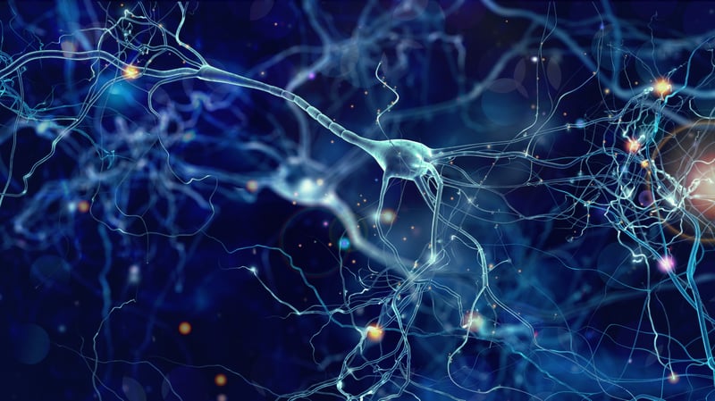 Aker BioMarine partners with academia on neurodegenerative disease prevention