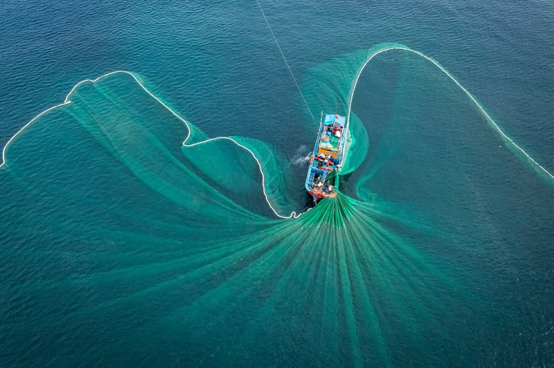 El Niño and the case for resilient marine supply chains