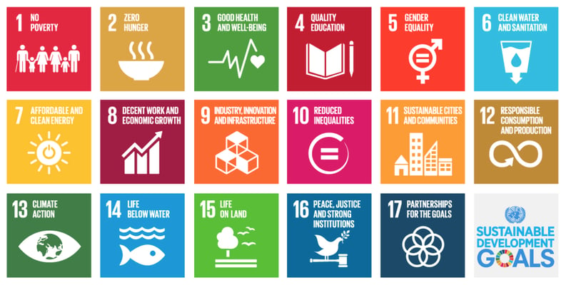 SDGs at the heart of business