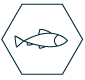 Icons-AkerBiomarine_SDG14