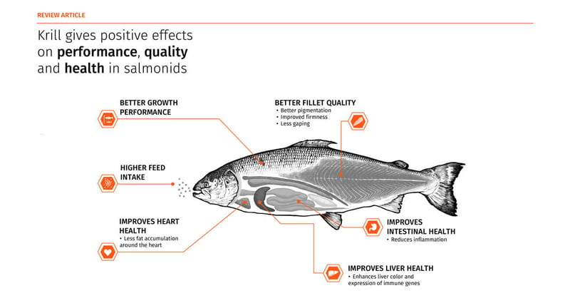 Krill meal improves health and performance of salmonids