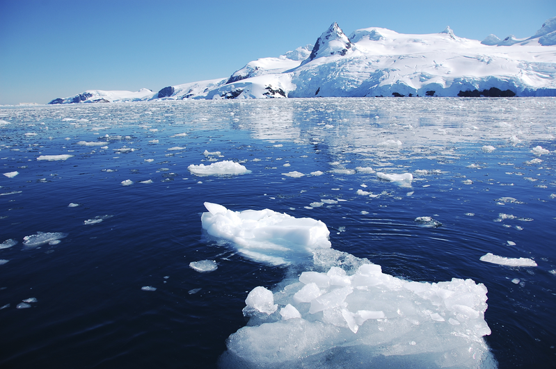 Krill industry Antarctic conservation in motion