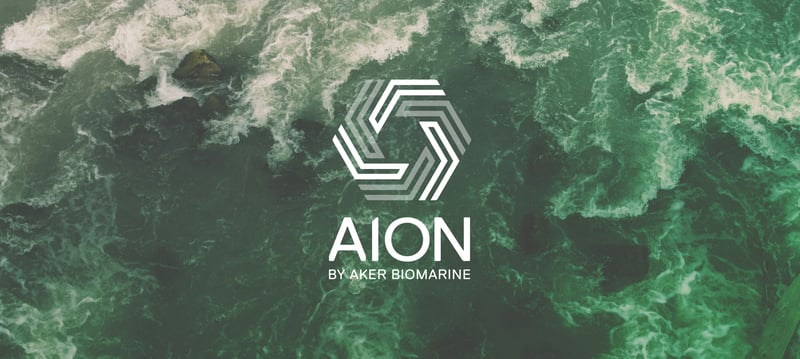 Ocean 14 Capital invests in AION