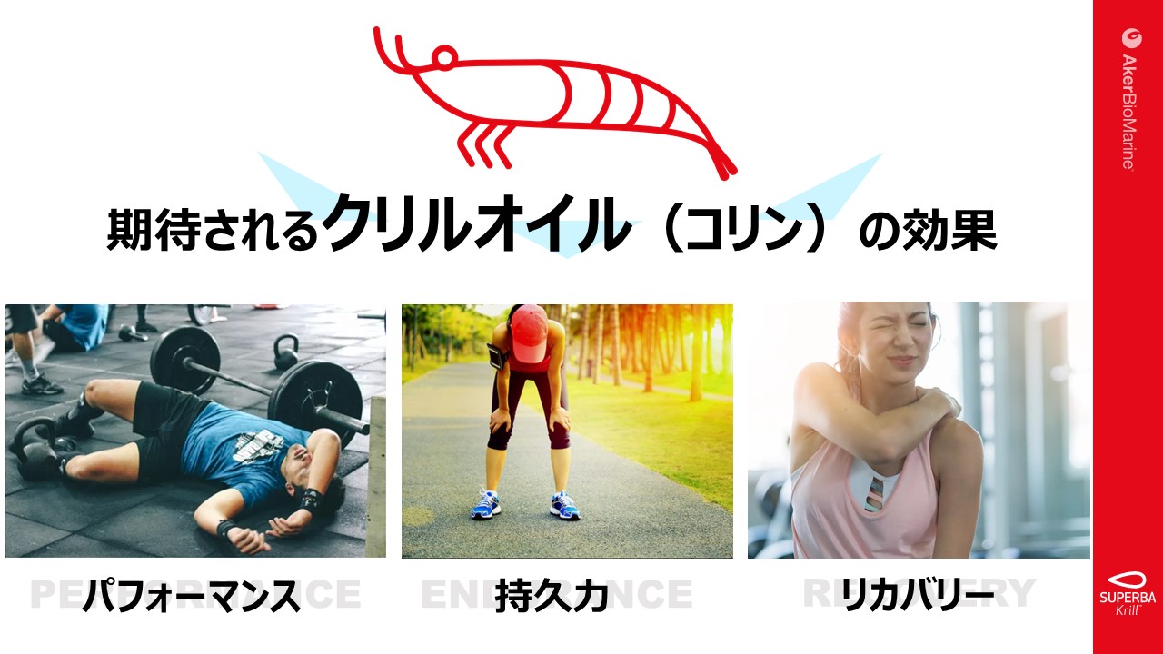スポーツ３