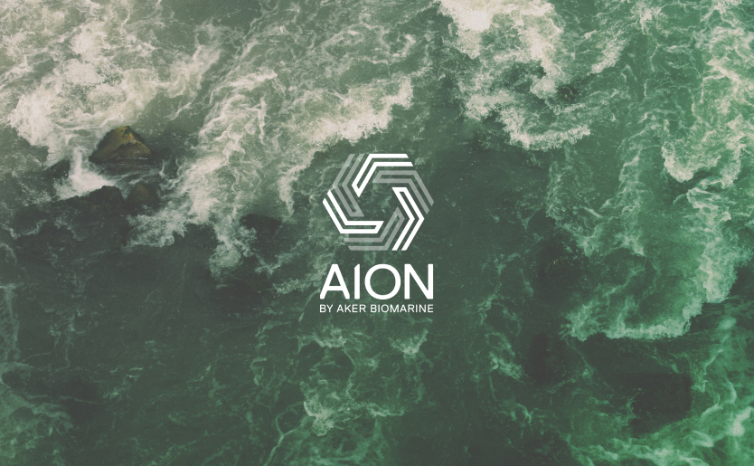 Aion-Hero - Ipad