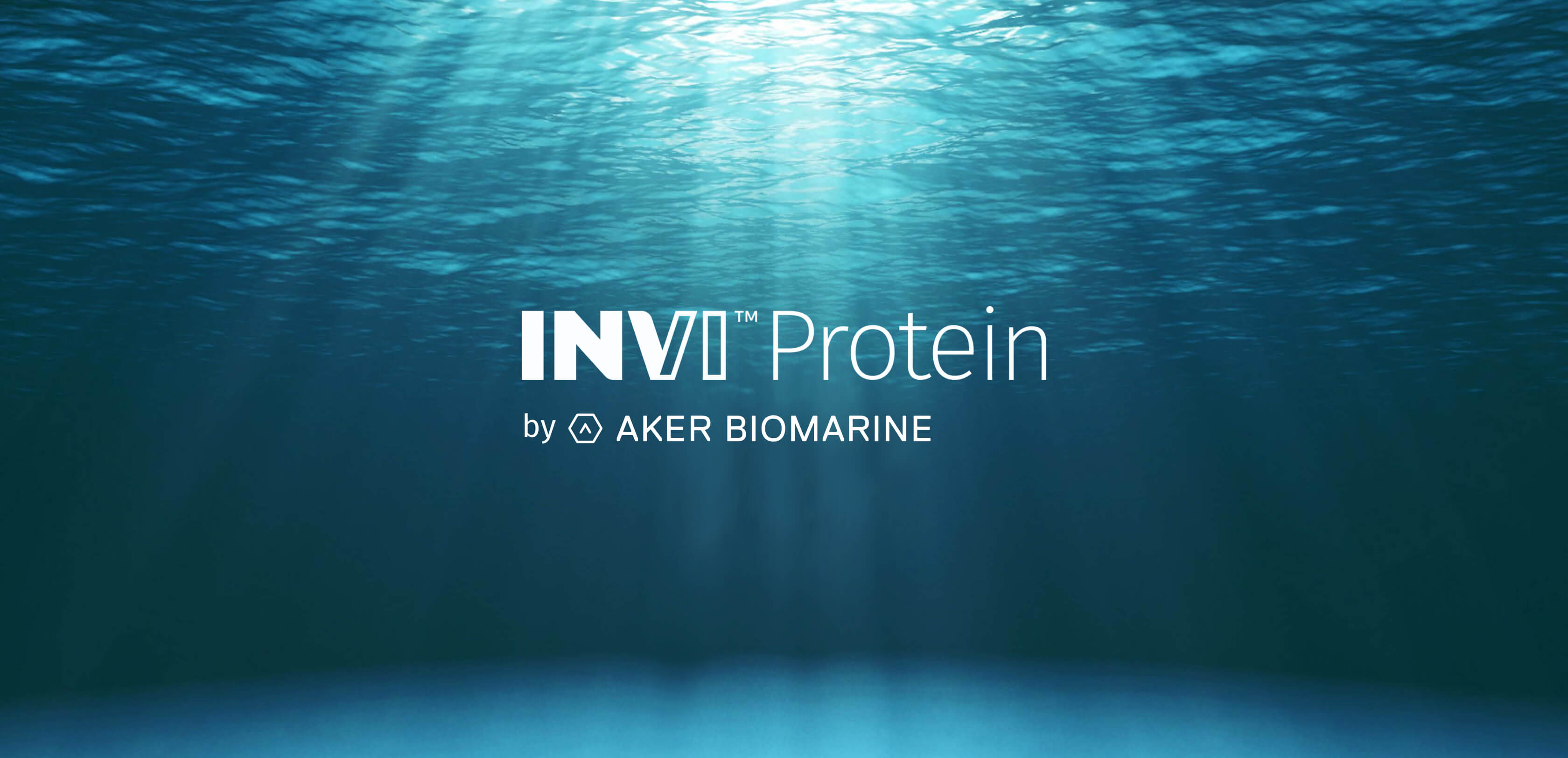 Invi-Hero - Desktop