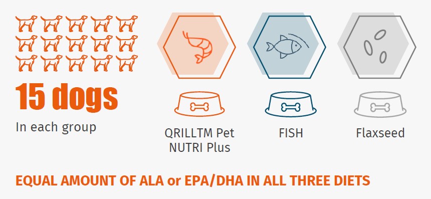 different omega-3s types